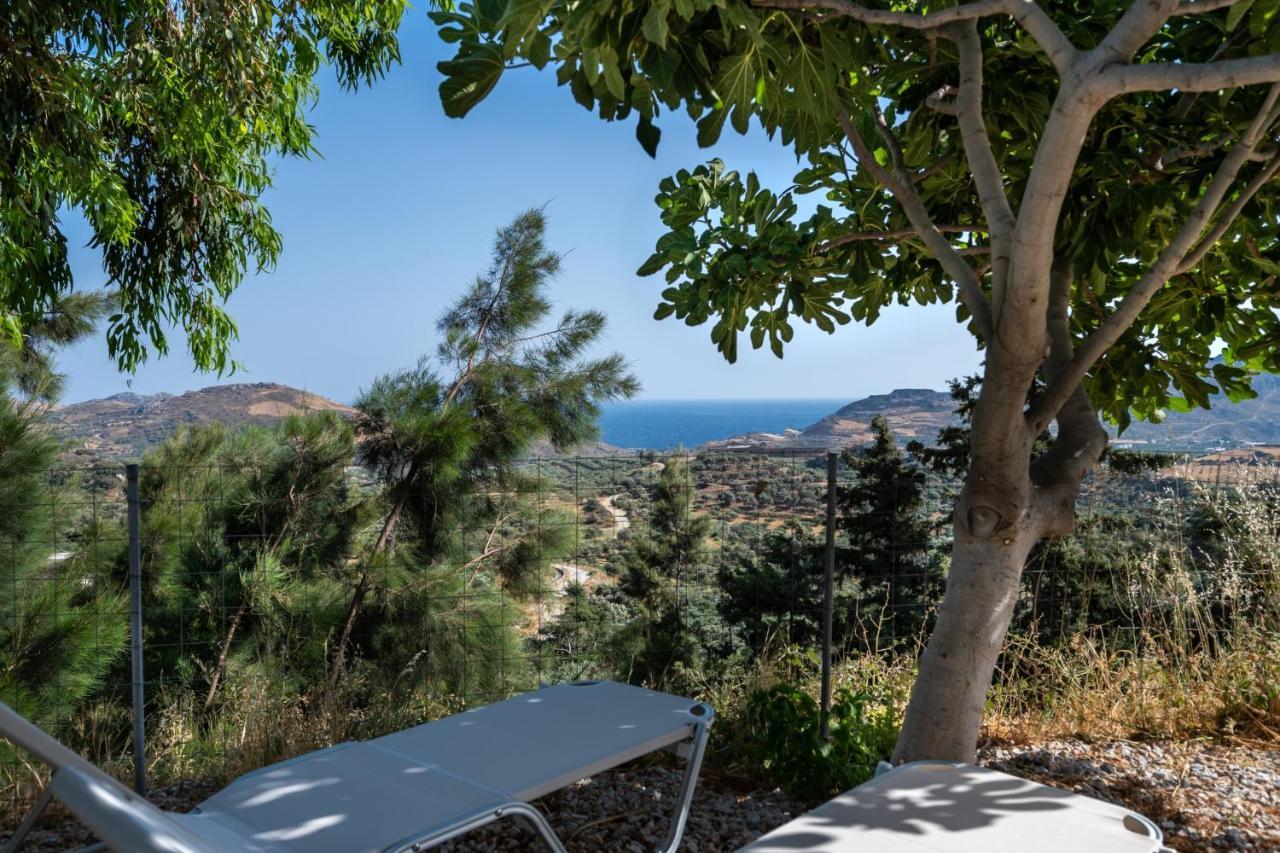 Vrisidia Cottage - Nature, Seaview & Relax 普拉基亚斯 外观 照片